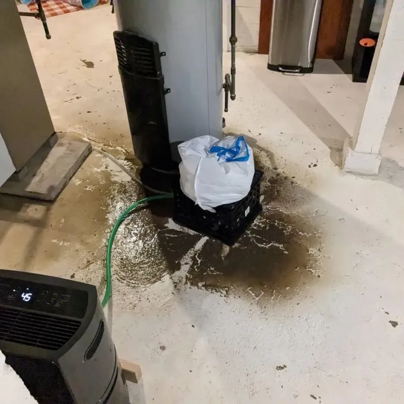 Sewage Backup Cleanup Service in Dayton, KY